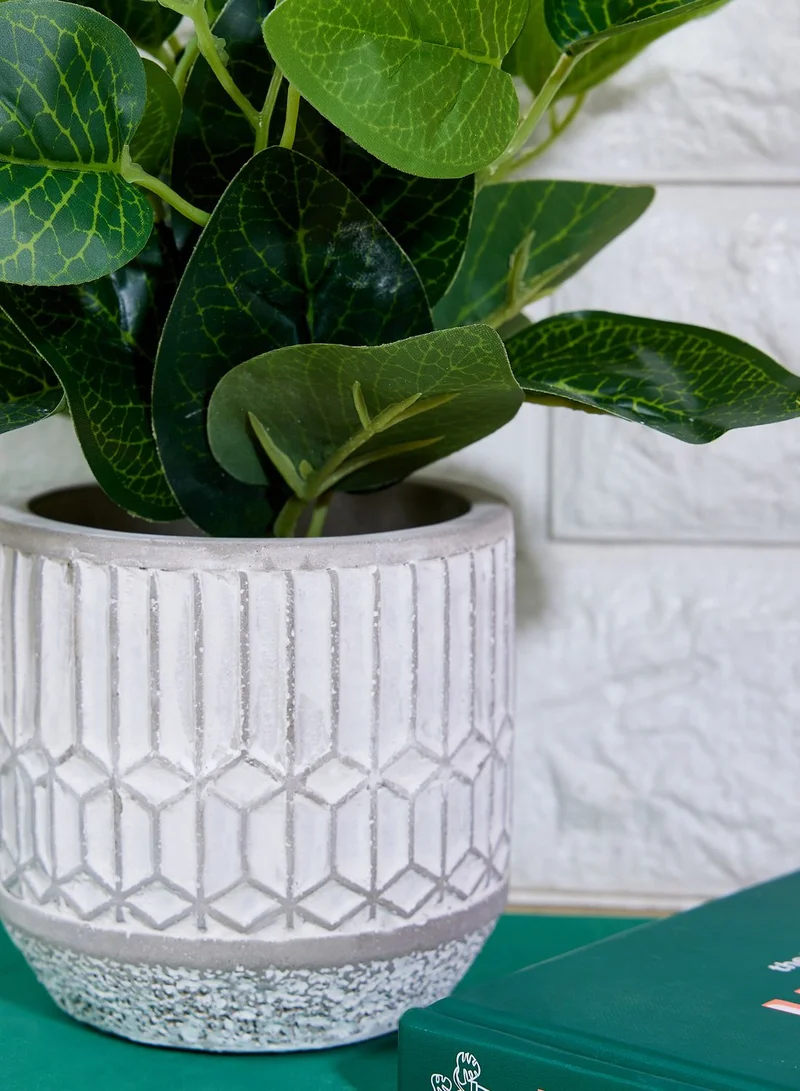 AURORA Medium Green Leaves In Cement Pot Grey In Mail Order Packaging