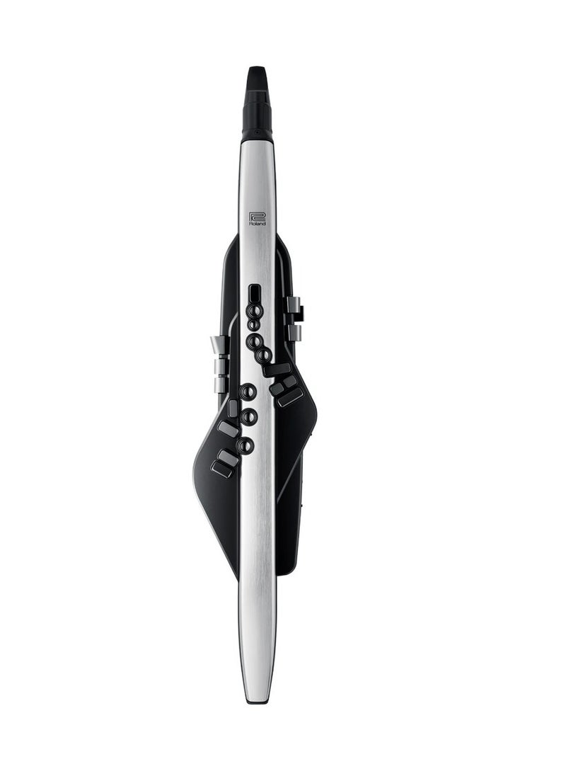 Roland - Roland Aerophone Pro AE-30 Digital Wind Instrument - Image 1