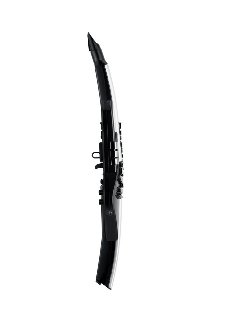 Roland - Roland Aerophone Pro AE-30 Digital Wind Instrument - Image 1