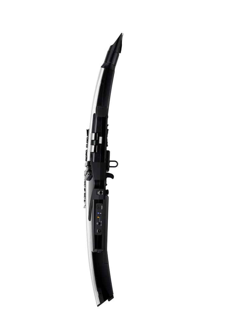 Roland - Roland Aerophone Pro AE-30 Digital Wind Instrument - Image 1