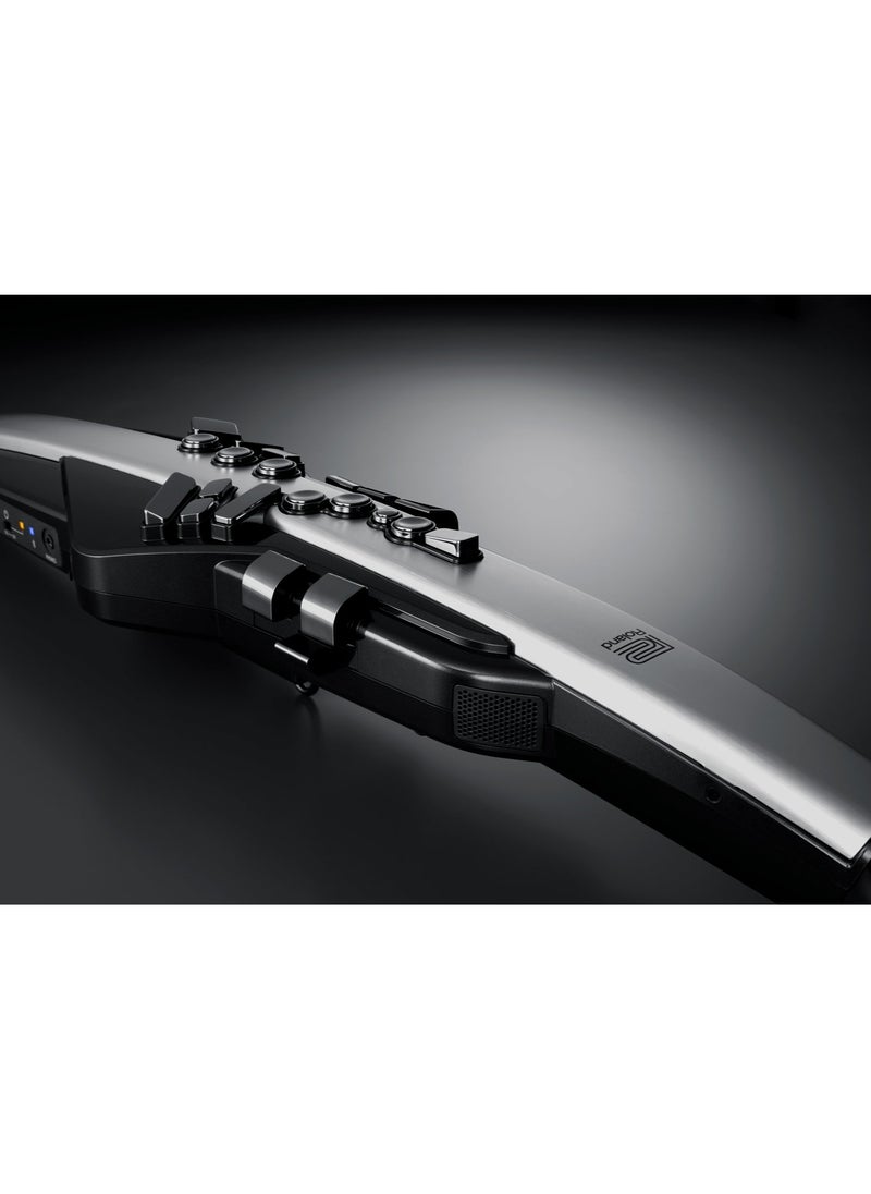Roland - Roland Aerophone Pro AE-30 Digital Wind Instrument - Image 1