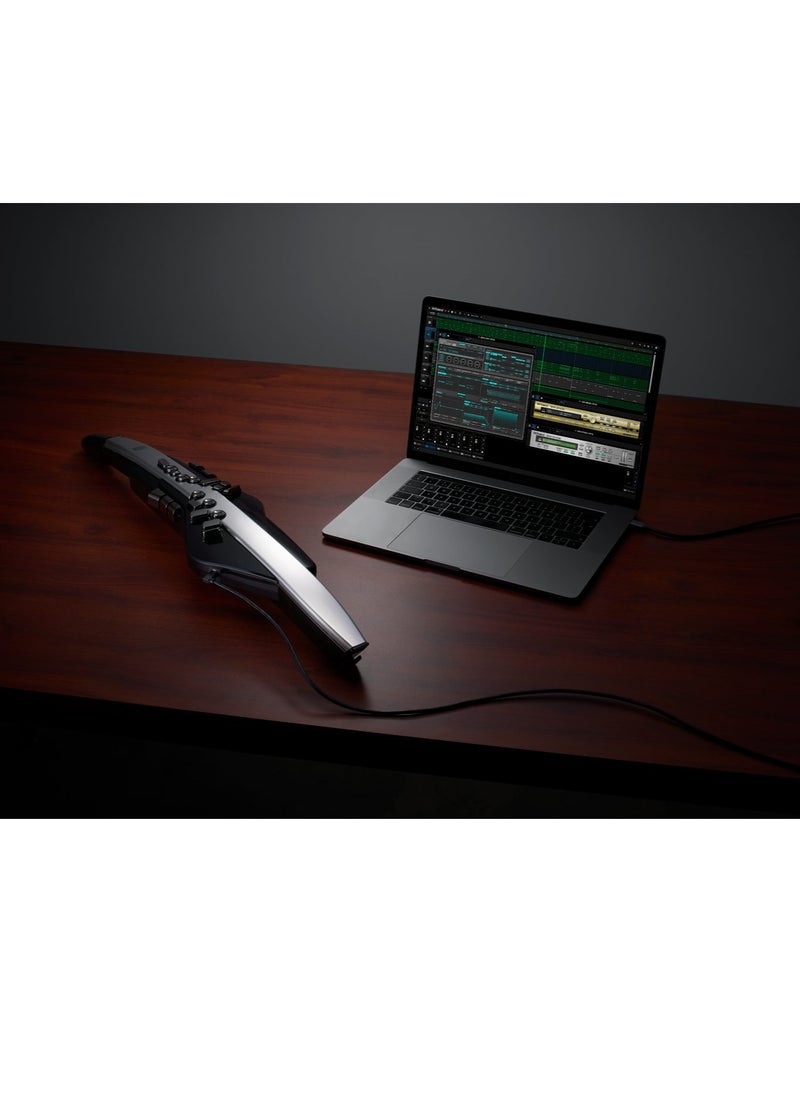 Roland - Roland Aerophone Pro AE-30 Digital Wind Instrument - Image 1