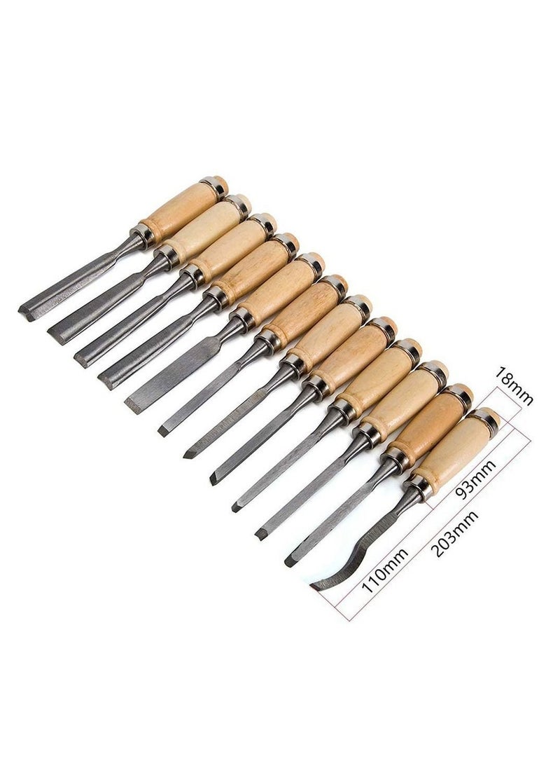 Y&D - 12 Pcs Professional Wood Carving Chisel Set Sharp Woodworking Tools with Carrying Bag Great for Beginners - Image 1