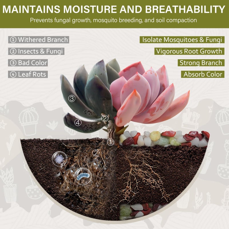 NUPICK 3 lbs Pebbles for Indoor Plants, 3/8 Inch Pea Gravel for Fish Tank, Polished Decorative Rocks for Succulent, Natural River Stones for Vases, Cactus, Landscaping, Bird Bath, Colorful Mixed - Image 2