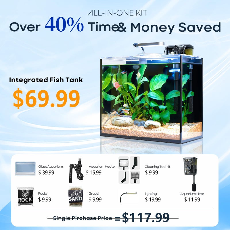 Wonderfactory 3 Gallon Small Fish Tank Glass Aquarium Set, Starter Kit with Heater Water Pump Cleaning Filter Bright Light Rocks Gravel Cleaning Tool, Leak-Proof Clear Rimless Desktop Spaces Saving Betta Fish - Image 2
