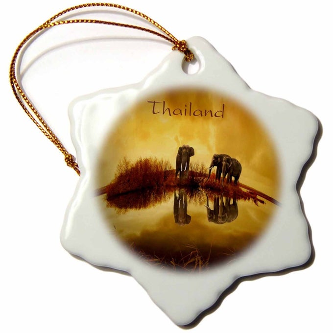 3D Rose ORN_243837_1 Image of Elephants in Thailand Reflected in Water Snowflake Ornament 3