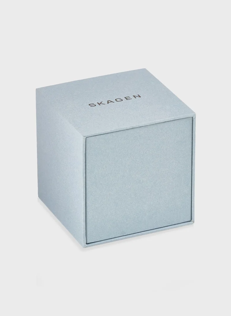 Skagen SKW6517 Grenen Watch