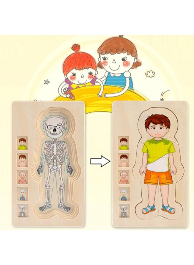 بازل تركيب الصور المقطعة من الخشب بتصميم بنية الجسم مكون من 5 طبقات - Image 4