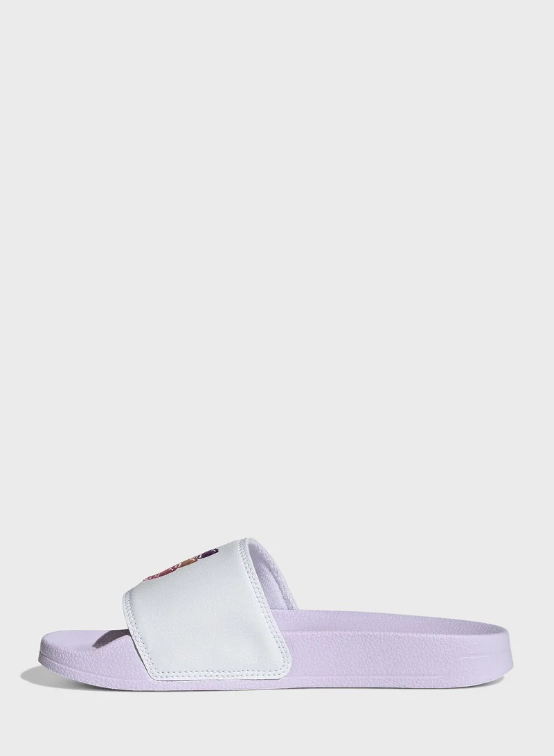 adidas Originals Adulate Late