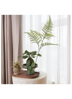 erorex Artificial spray, in/outdoor/fern, 63 cm  - Image 5