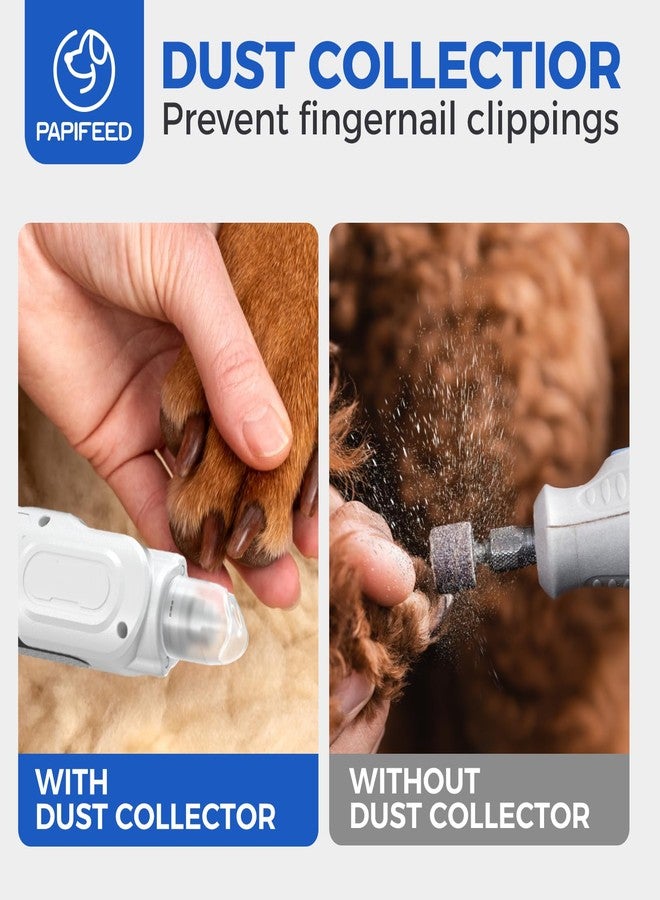 PAPIFEED مبرد أظافر الكلاب من بابيفيد هادئ وقوي - 6 سرعات قابلة للتعديل مع مصابيح LED مزدوجة، محرك عالي العزم، غطاء مقاوم للغبار، قابل لإعادة الشحن من النوع C للكلاب والقطط (طقم أبيض) - Image 4