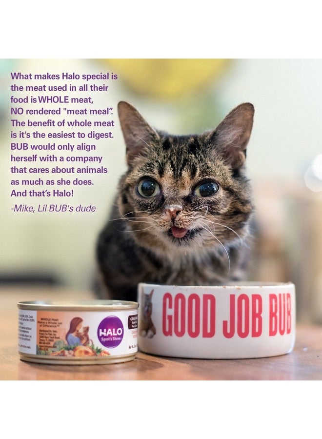 هالو طعام القطط الرطب هالو، وصفة دجاج كامل، باتيه رطب خالٍ من الحبوب، طعام قطط معلب لترطيب إضافي، علبة 5.5 أونصة (عبوة من 12 قطعة) - Image 3