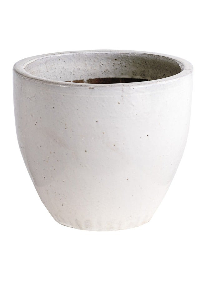 Gulf Flowers Gulf Flowers Plant Pot EGG – Unique Egg-Shaped Decorative Planter for Home & Office 