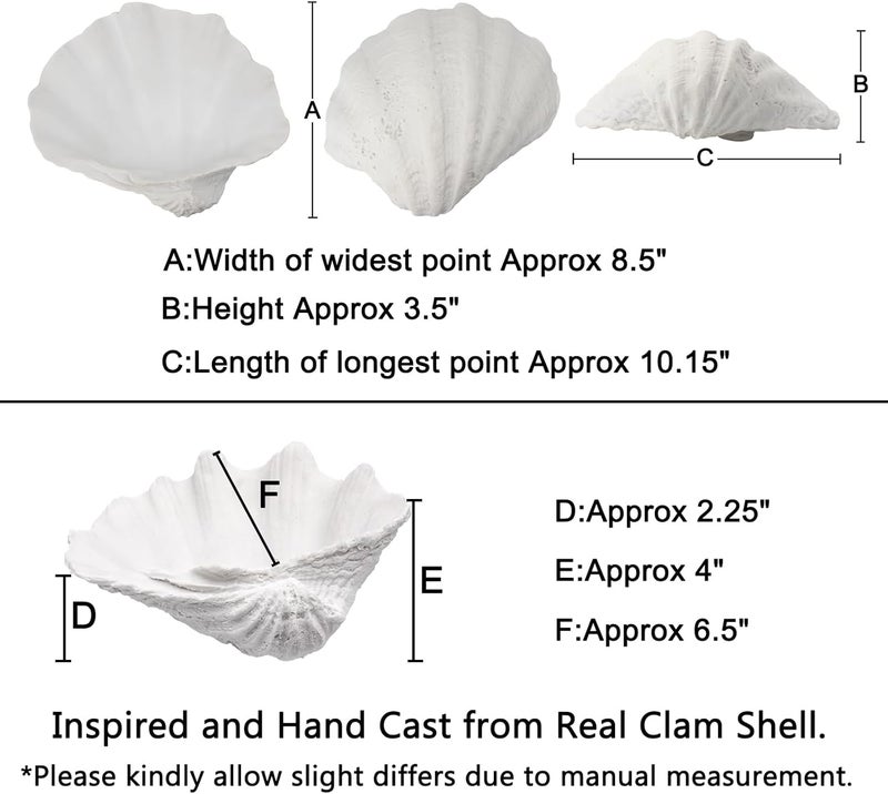 ALIWINER Leakproof sealed Resin Large Clam Shell Coastal Nautical Home Decor Seashell Figurine Gift for Bedroom Living Room Seashell 10.8" Global versatile design - Image 2