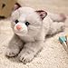 PEACH CAT Cat Stuffed Animal 98 Realistic Kitten Plushies Soft Plush Toys Gifts for Kids Grey and White - Image 2
