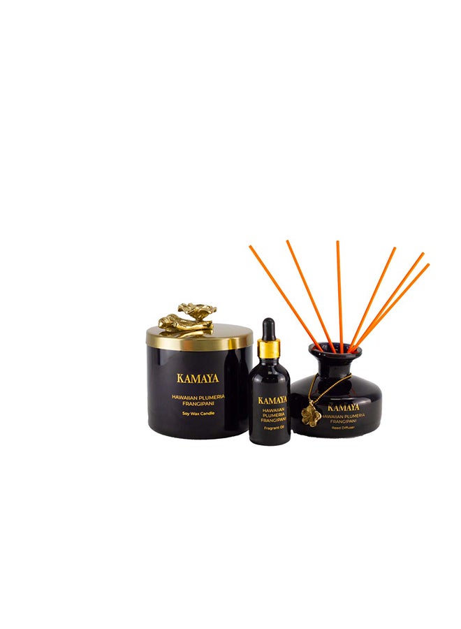 KAMAYA 150 ml Reed diffuser in black jar, with a handmade metal decorative pendant | Long lasting fragrance, Frangipani fragrance with two sets of reeds | in bright decorative gift box for occasions - Image 4