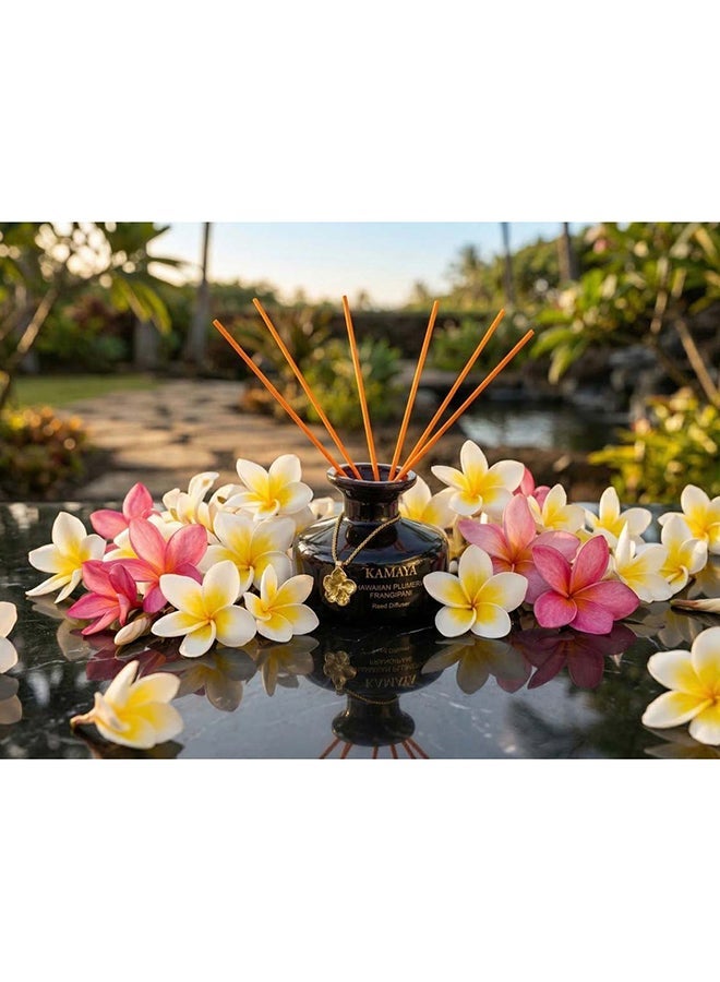 KAMAYA Blossom Caboodle Collection Hawaiian Plumeria 150 ml Reed diffuser in black jar, with a handmade metal decorative pendant | Long lasting fragrance, Frangipani fragrance with two sets of reeds | in bright decorative gift box for occasions - Image 1