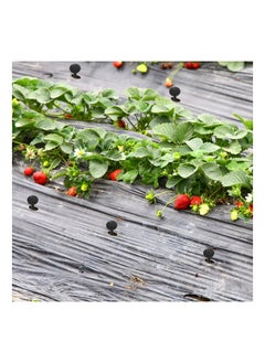 Y&D 200 Pcs Plastic Landscape Garden Spikes, Sturdy Professional Tarp Stakes, Upgraded Multi-Use Spikes Erosion Anchor for Fabric Edging Yard Tents Cover (6 Inches)  - Image 3