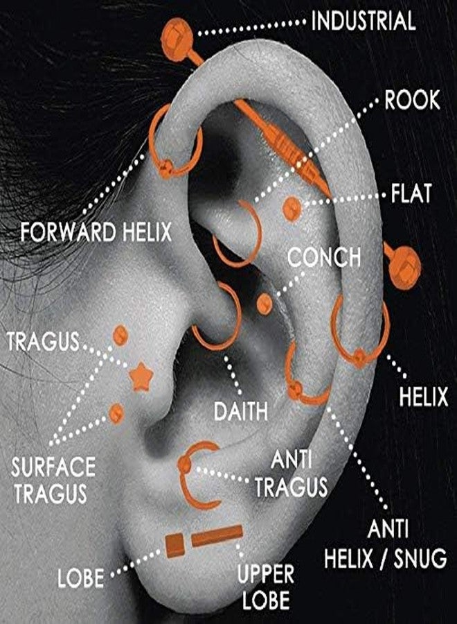 Ervio Silver CBR Circular Rings Earring Set | Surgical Steel Body Piercing Jewelry for Lip, Eyebrow, Cartilage, Nose | Unisex Ball Closure Rings for Men & Women - Image 3