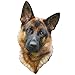 Madd CAPP I Am Shepard 550 Piece Puzzle Dog Shaped Animal Jigsaw 19 x 32 Assembled Size Poster Reference Educational Fun Fact Booklet - Image 4