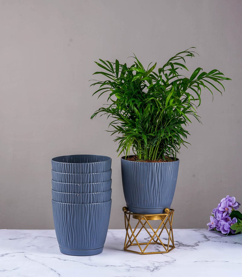 Nurturing Green® Set of 6 Grey 'Tide' Self Watering Plastic Pots (5.5 Inch Wide) with Drainage Holes for Foliage and Bonsai Plants; Suitable for Home & Balcony Decor (Without Plant or Metal Pots) - Image 1