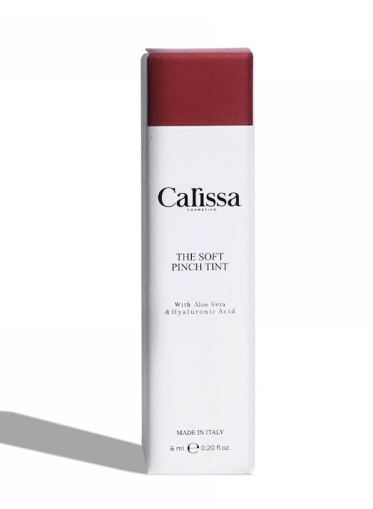 CARISSA COSMETICS Lip and Cheek Color 6 ml - 02 Brown - Image 2