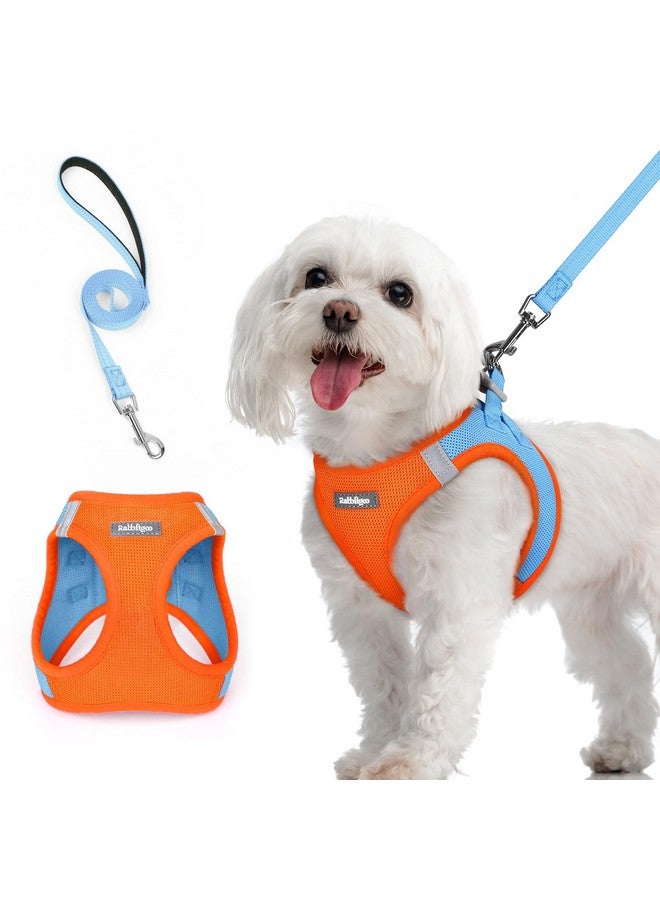 رابيتجو طقم حزام صغير الحجم للكلاب من rabbitgoo مع مقود، سترة جرو خفيفة وناعمة، حزام شبكي قابل للتهوية للحيوانات الأليفة، عاكس للضوء من أجل المشي الآمن والسهل، أزرق وبرتقالي متوسط - Image 1