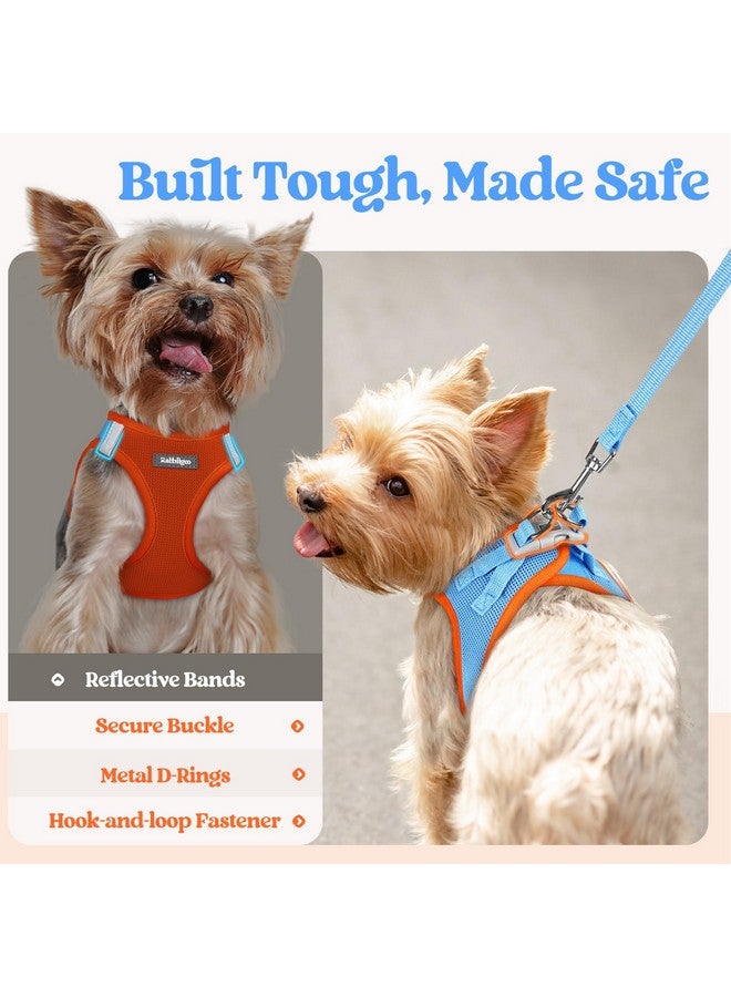 رابيتجو طقم حزام صغير الحجم للكلاب من rabbitgoo مع مقود، سترة جرو خفيفة وناعمة، حزام شبكي قابل للتهوية للحيوانات الأليفة، عاكس للضوء من أجل المشي الآمن والسهل، أزرق وبرتقالي متوسط - Image 4