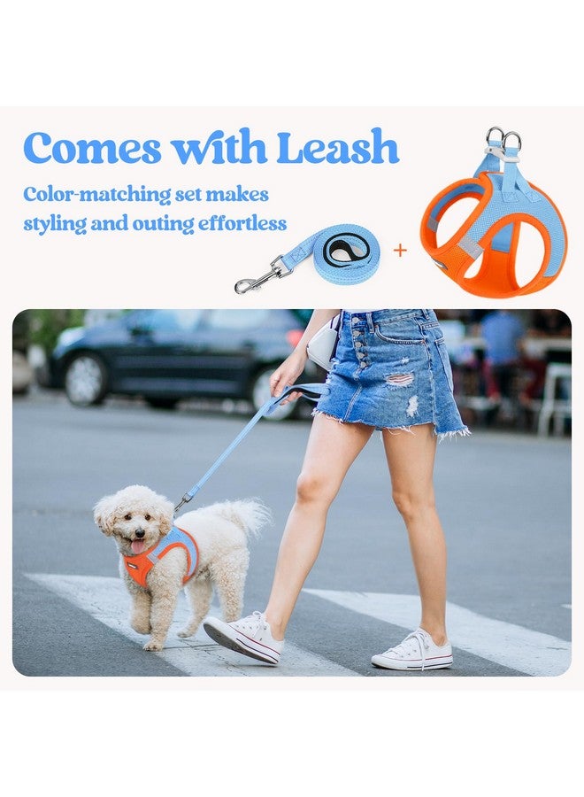 رابيتجو طقم حزام صغير الحجم للكلاب من rabbitgoo مع مقود، سترة جرو خفيفة وناعمة، حزام شبكي قابل للتهوية للحيوانات الأليفة، عاكس للضوء من أجل المشي الآمن والسهل، أزرق وبرتقالي متوسط - Image 5