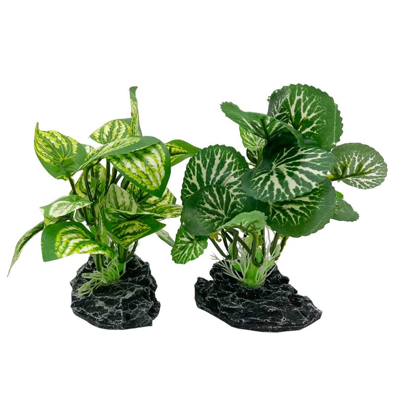 Smoothedo-Pets SmoothedoPets Aquarium Plants Betta Fish Tank Decorations 4inch2pcs Soft Silk Artificial Plant Goldfish Waterscape Fish Hides Snake TankReptiles PlantsA2pcs SetGreen