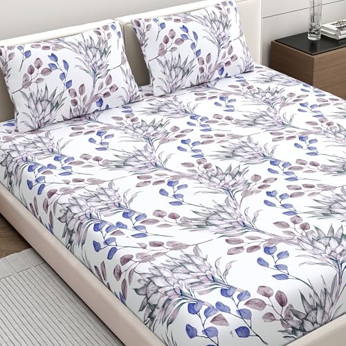 Home Ecstasy 100% Cotton Value King Bedsheet with 2 Pillow Covers - (Size 87 x 108 inches, 140 TC, Colour - Purple: Lapis Purple) - Image 1