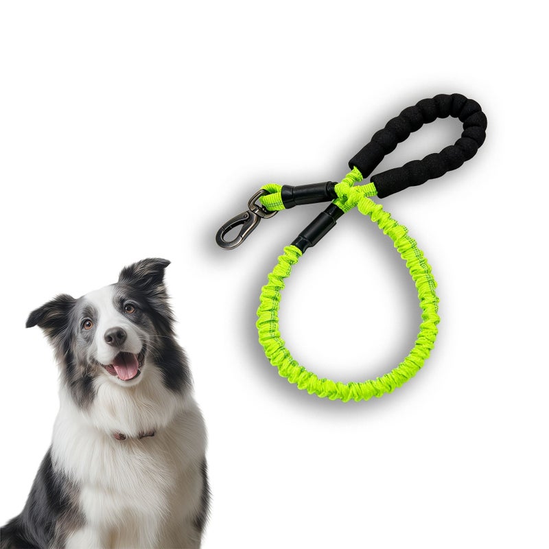 Orange Medium Large P Chain Retractable Dog Leash Anti Escape Training - Image 1