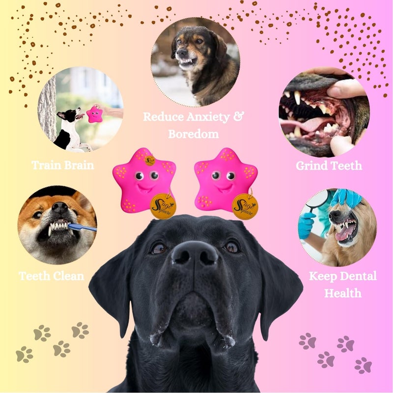 Sage Square لعبة تفاعلية للكلاب على شكل وجه مبتسم نجمي: لعبة مضغ آمنة ودائمة وممتعة - مثالية لوقت اللعب، صحة الأسنان، وتخفيف القلق - مثالية للسلالات الصغيرة والمتوسطة والكبيرة - Image 5