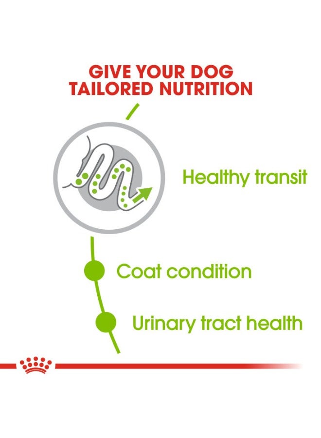 ROYAL CANIN حجم صحة التغذية XS للبالغين 1.5 كجم - Image 4