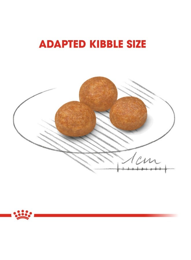 ROYAL CANIN حجم صحة التغذية XS للبالغين 1.5 كجم - Image 3