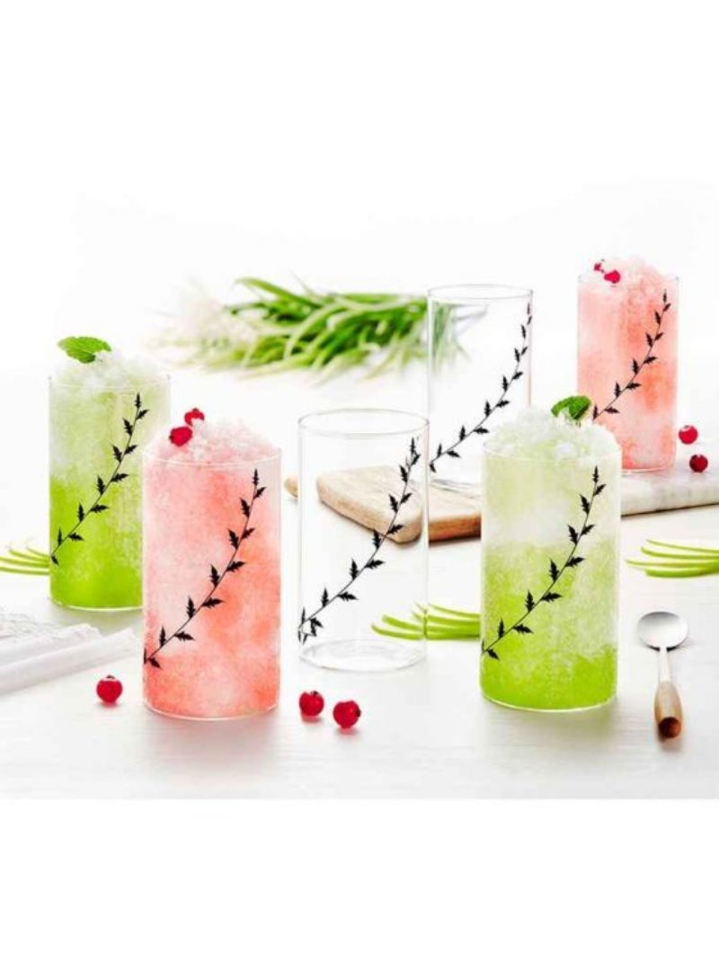 Top Pick Vision Glass Set Borosilicate Glass (Set Of 6) 