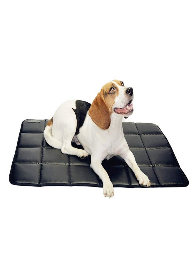 Fluffy's Luxurious Durable Waterproof High-Density PVC Material Cotton Inside Indoor/Outdoor Travel Pet Bed for Puppy/Cats/Dog Bed (Large Black) - Image 1