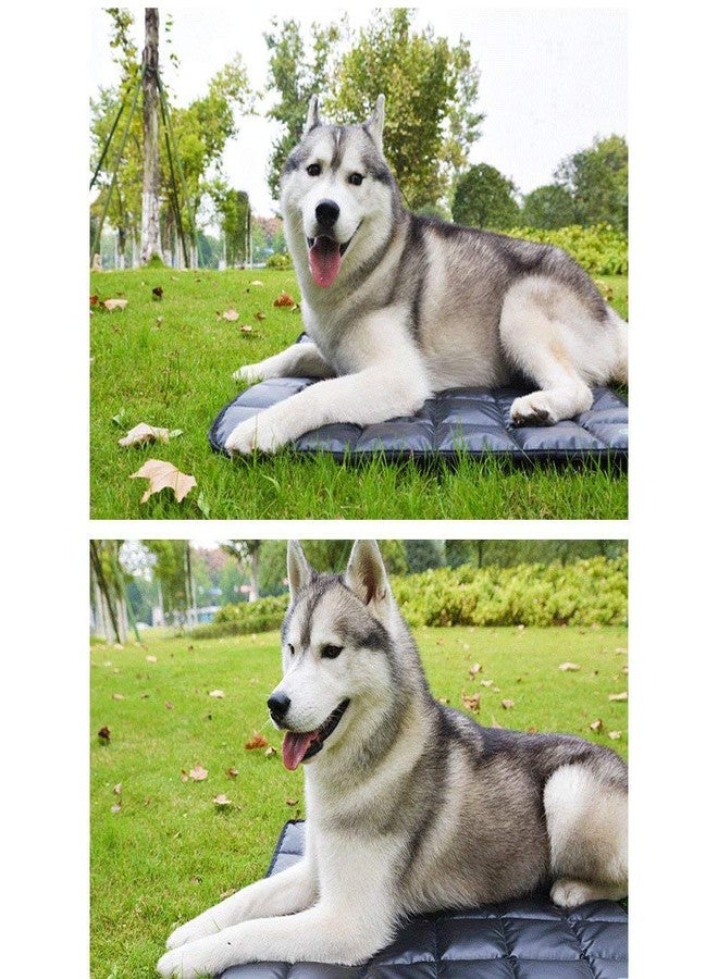 Fluffy's Luxurious Durable Waterproof High-Density PVC Material Cotton Inside Indoor/Outdoor Travel Pet Bed for Puppy/Cats/Dog Bed (Large Black) - Image 2