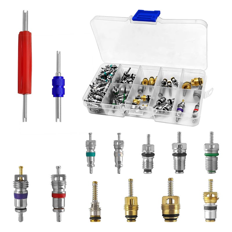 102PCS AC R12 R134a Car Air Conditioner Valve Core Seal Kit Refrigeration Tire Valve Stem Cores Repair Kit Double Head Dual Dismantling Installer Tool
