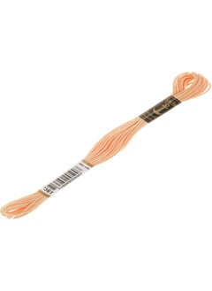 Anchor Muline Embroidery Thread 0361 