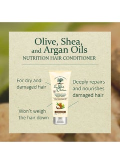 LE PETIT OLIVIER Nutrition Hair Conditioner - Olive, Shea, Argan Oils - Detangles And Repairs - Enhances Softness And Elasticity Of The Hair - Suitable For Dry And Damaged Hair - 6.76 Oz  - Image 4