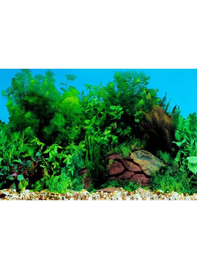 ELEBOX New 20" x 48" Fish Tank Background Stickers Wallpaper 2 Sided Seaweed Water Plants Aquarium Background Decoration - Image 2