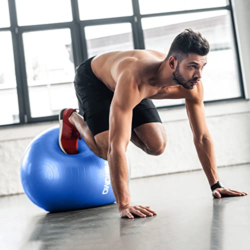 STOROMO Exercise Ball,Yoga Ball(with Exercise Tutorial)，Extra Thick Non-Slip,Holds 2500 lbs, Workout Ball for Pregnancy Birthing and Balance Stability (Pink, 45cm/17.7in) - Image 3