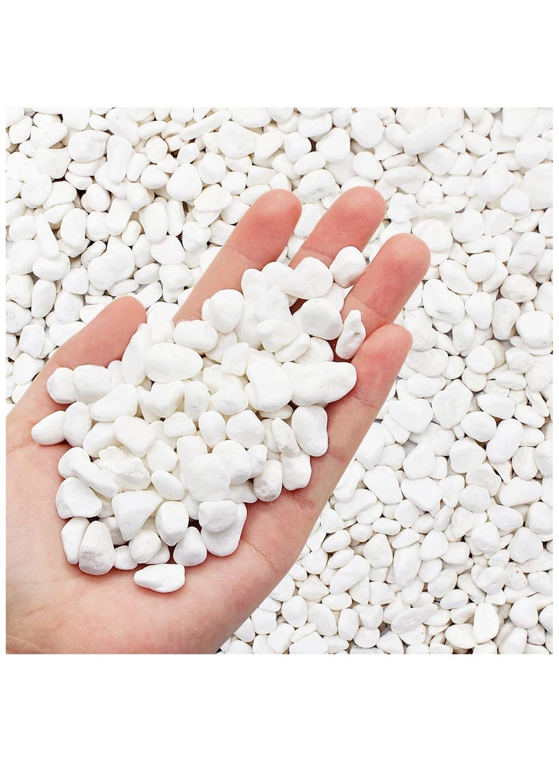 Home zone Unpolished White Pebbles for Plants Garden Vases 22.04 lbs (10 KG) White Rocks Gravel Decorative Stone 1/2" - Image 1