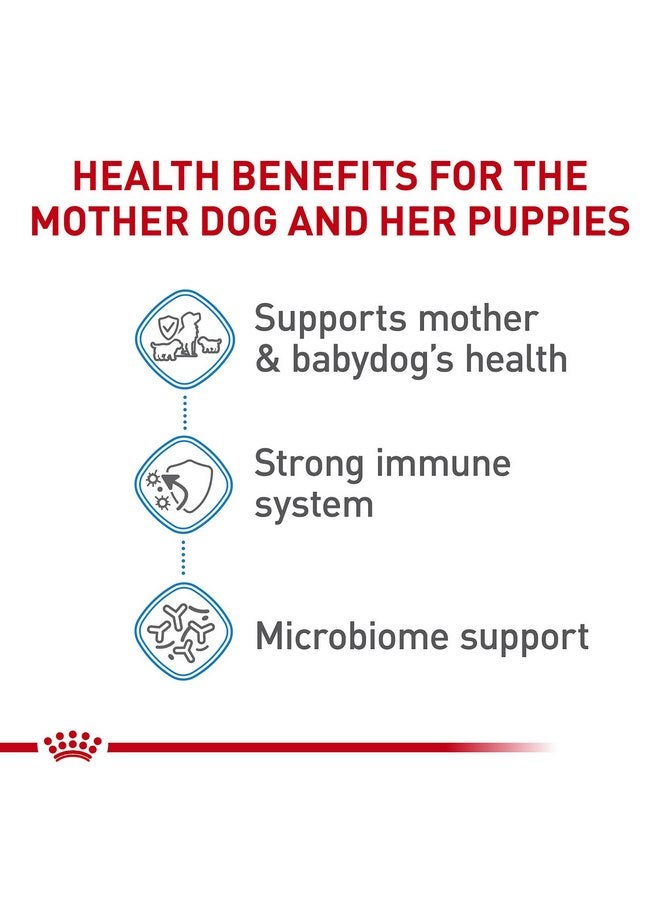 رويال كانين طعام الكلاب الجاف من رويال كانين سايز هيلث نيوتريشن سمول ستارتر ماذر آند بيبي دوج، كيس 2.5 رطل - Image 3