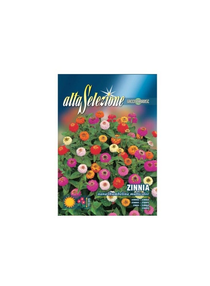 ALFA Zinnia Seeds - Nana Thumbelina Multicolor 
