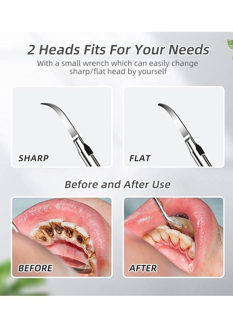 0TO1 TECH - Plaque Remover for Teeth - Image 1