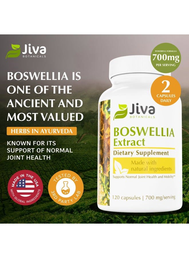 Jiva BOTANICALS كبسولات مستخلص البوسويليا 700 ملغ لكل حصة - مكمل مستخلص البوسويليا سيراتا والفلفل الأسود - مكمل دعم المفاصل لصحة المفاصل الطبيعية - 120 كبسولة (عبوة من 1) - Image 3