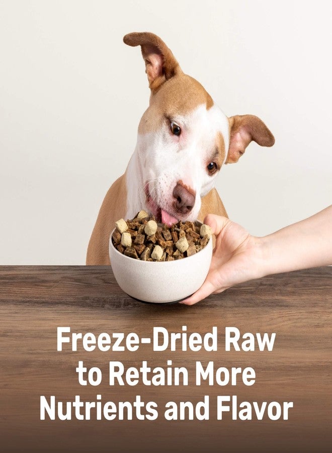 BADLANDS RANCH Superfood Nuggets – Freeze-Dried Raw Dog Treat & Food Topper, Nutrient-Dense Beef Tripe & Kale Formula, High Protein, No Artificial Additives, 8oz Bag - Image 2