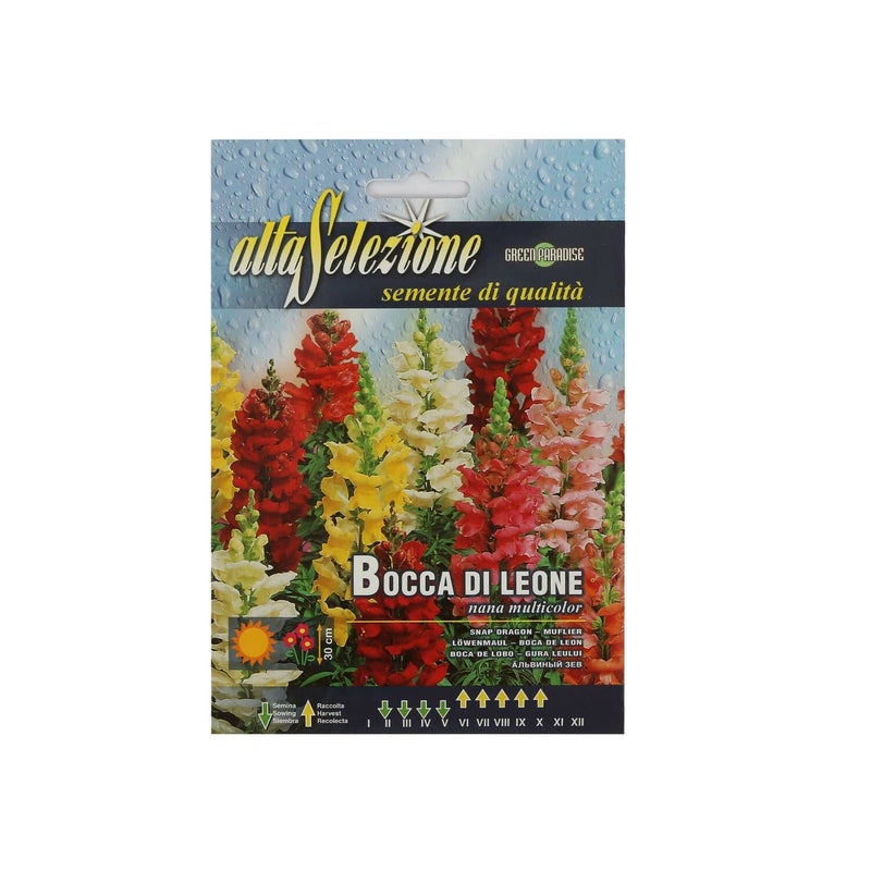 Alta Dwarf Snapdragon Mixed Seeds